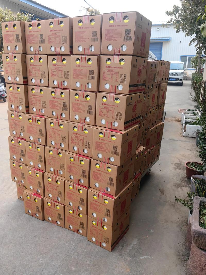 贸易供需新动态：供应链优化助力市场前行